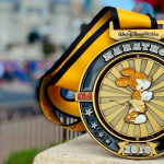 Race-rapport; Walt Disney World marathon 2019